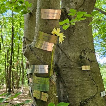 Közösségi emlékhely – mit jelent és hogyan működik?